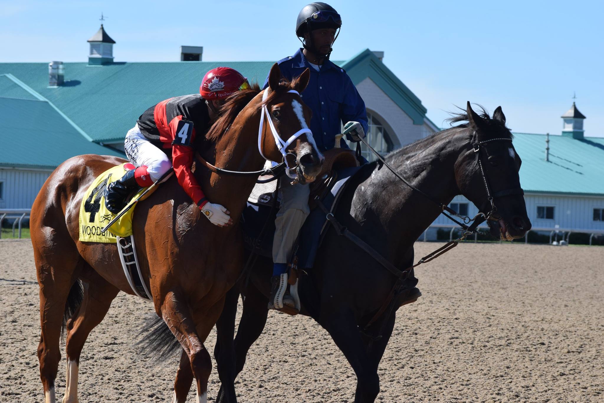 The Horse Racing Photos 12 Days of Christmas: The 4th Day 