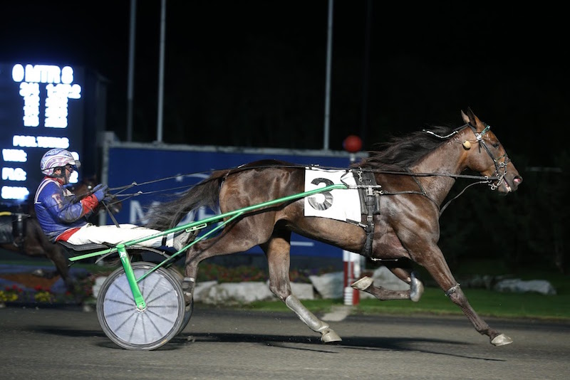 Kamikaze Lindy Seeks Third Straight Win