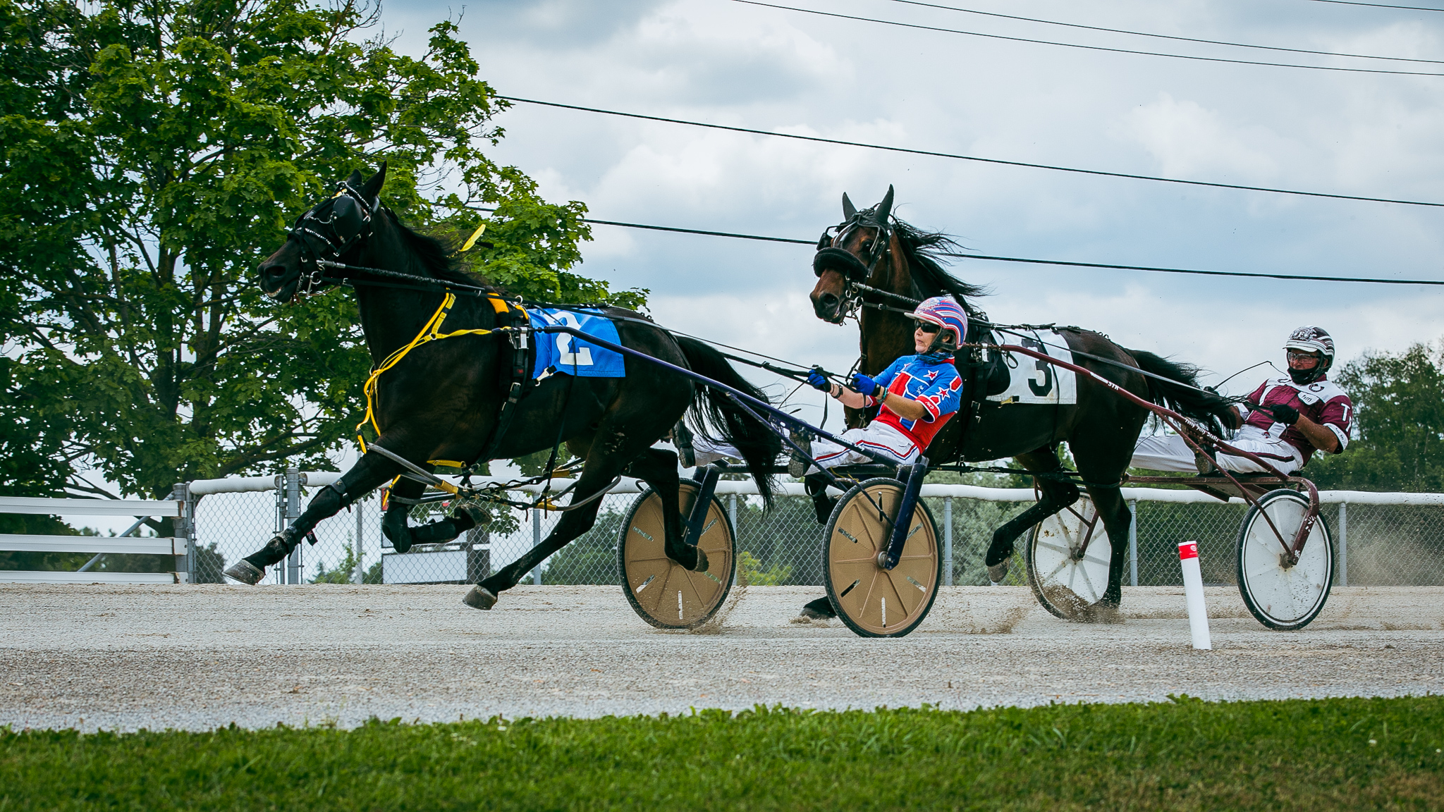 Garnet Barnsdale S Hanover Raceway Selections Saturday June 19 2021 Ontario Racing