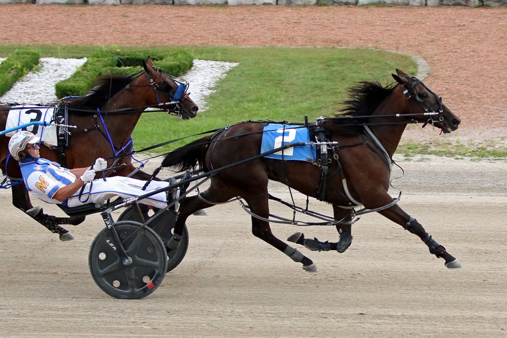 Hometown filly Power Of An Angel victorious in Grassroots
