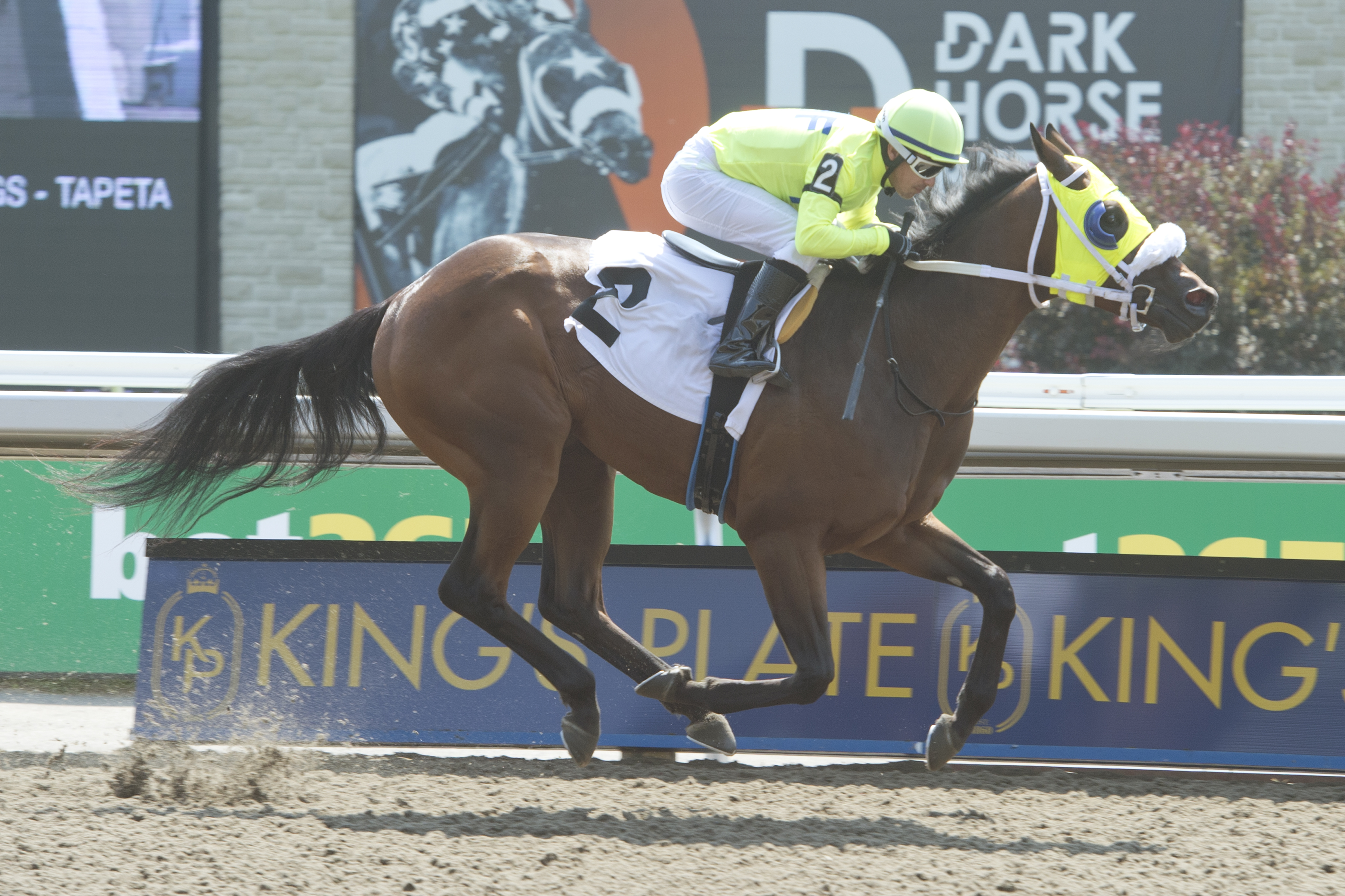 Meko Makee Tests Out Turf in Bull Page Stakes