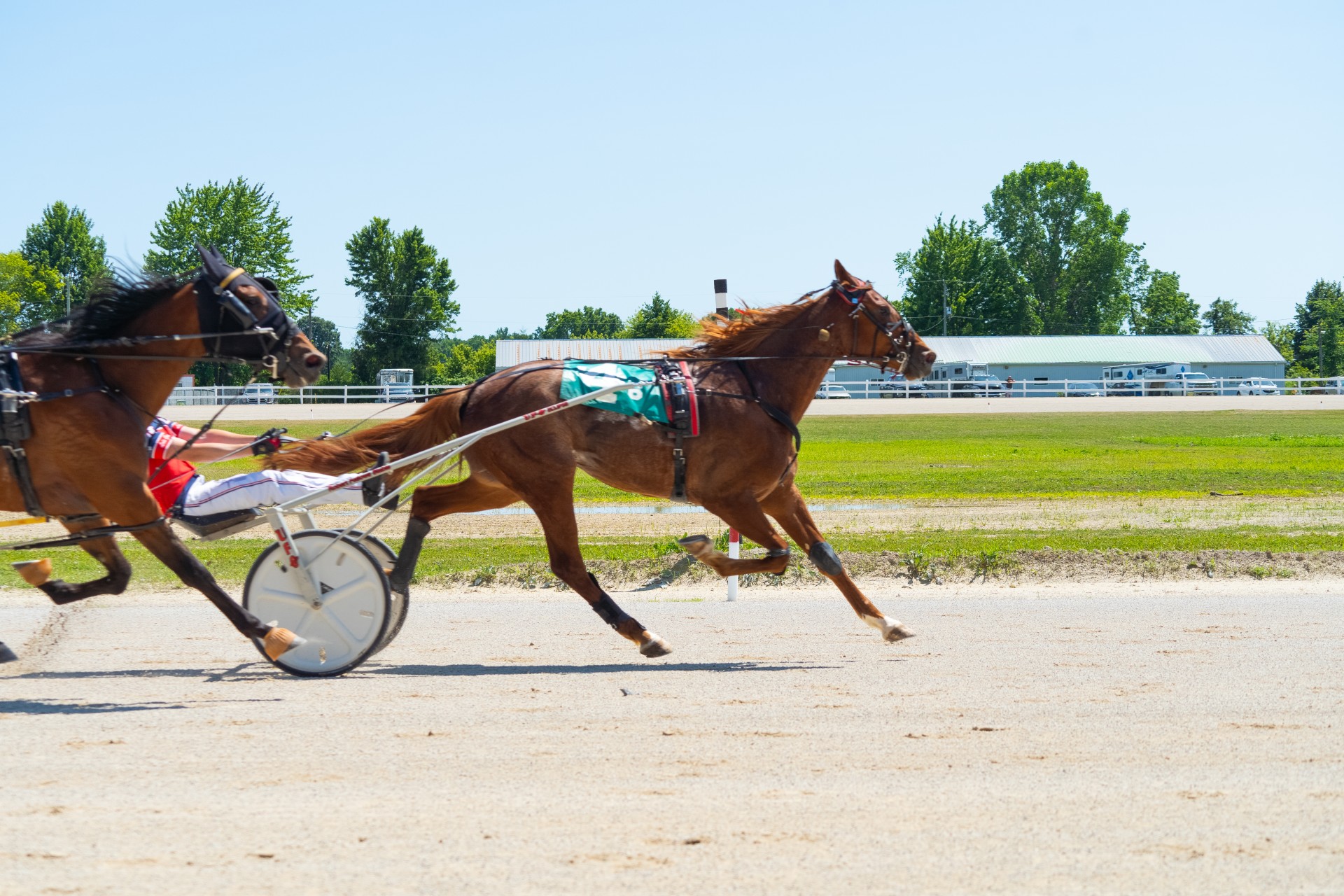 Royal Duharas crossing the finish line in first at Dresden Raceway on Monday, July 1, 2024 (Cam Sinasac)