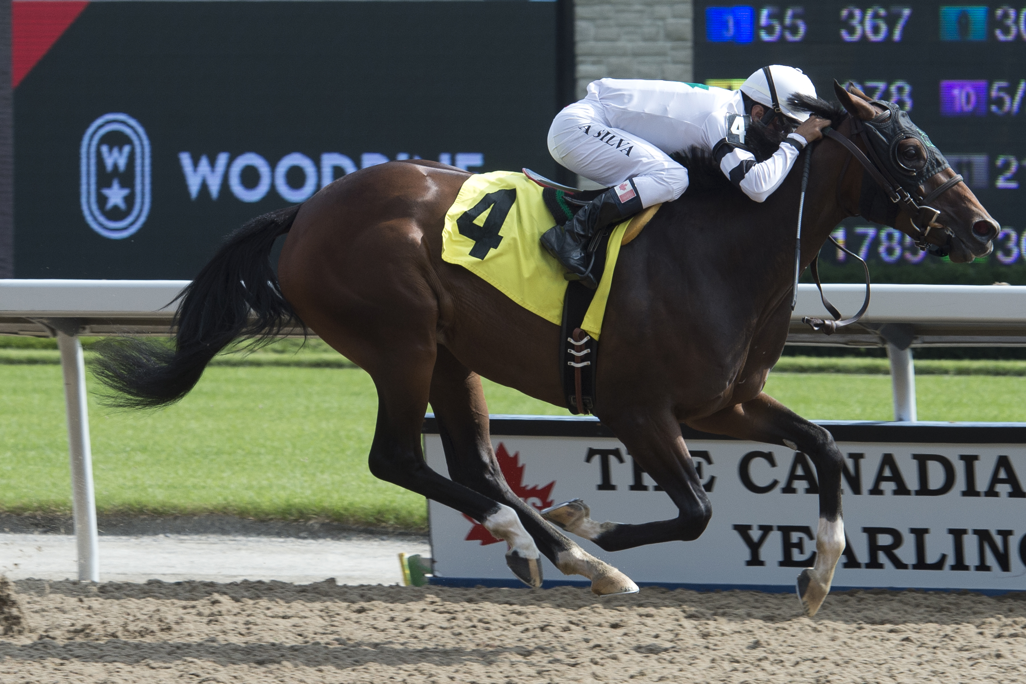 Notice Me looks to live up to her name in South Ocean Stakes