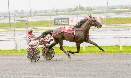 Grassroots double for Baillargeon at Kawartha Downs