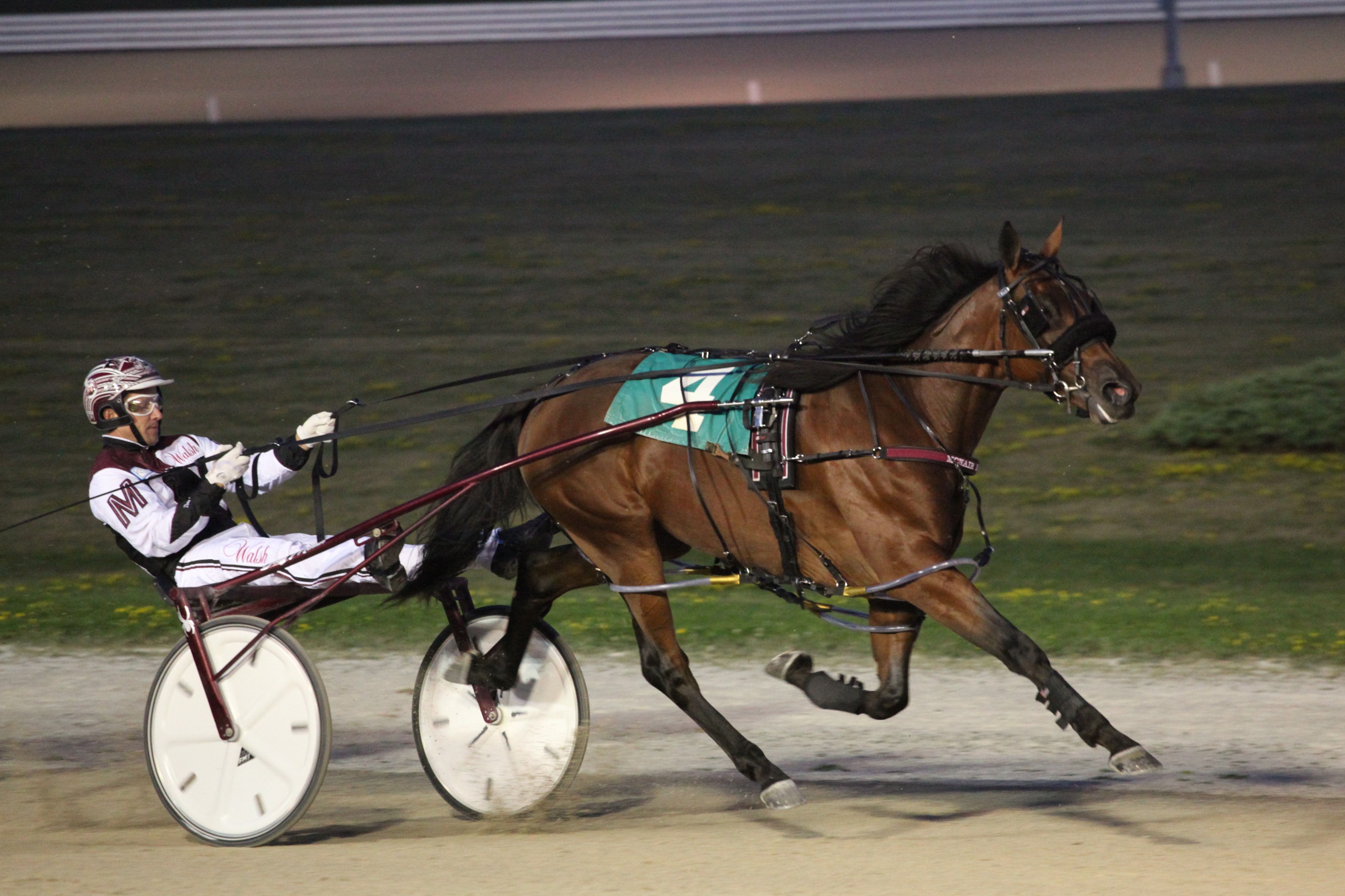 Karma Seelster reigns supreme at Grand River Raceway