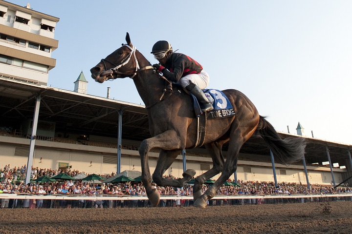 Tone Broke prevails in Prince of Wales Stakes thriller