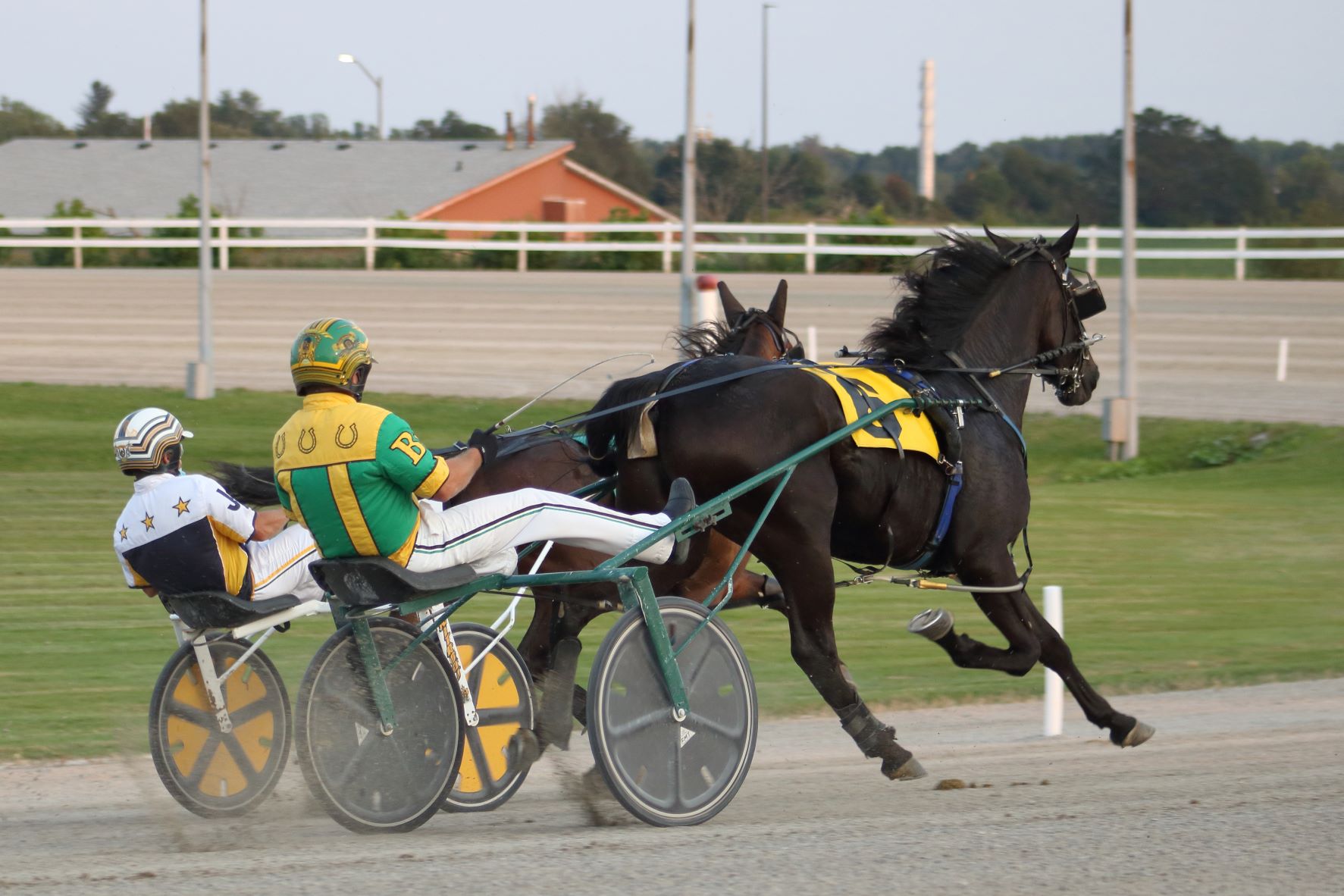 Garnet Barnsdale’s Flamboro Downs Selections: Thursday, December 16, 2021