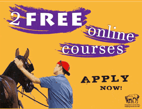 Apply Now For 2020 Ontario Racing Industry Scholarships