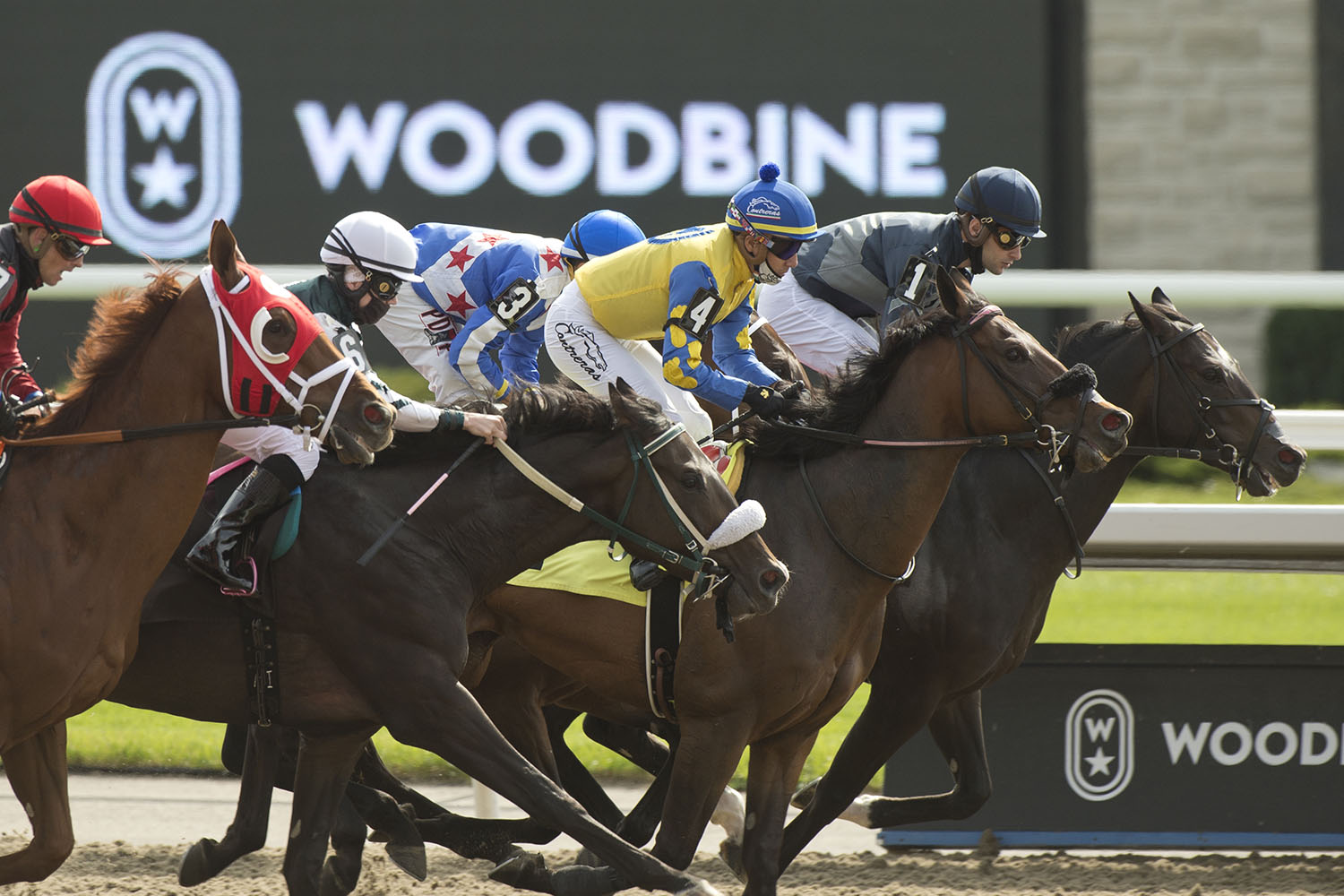 Woodbine Entertainment’s Shortened Thoroughbred Meet Down $50M in All-Sources Handle