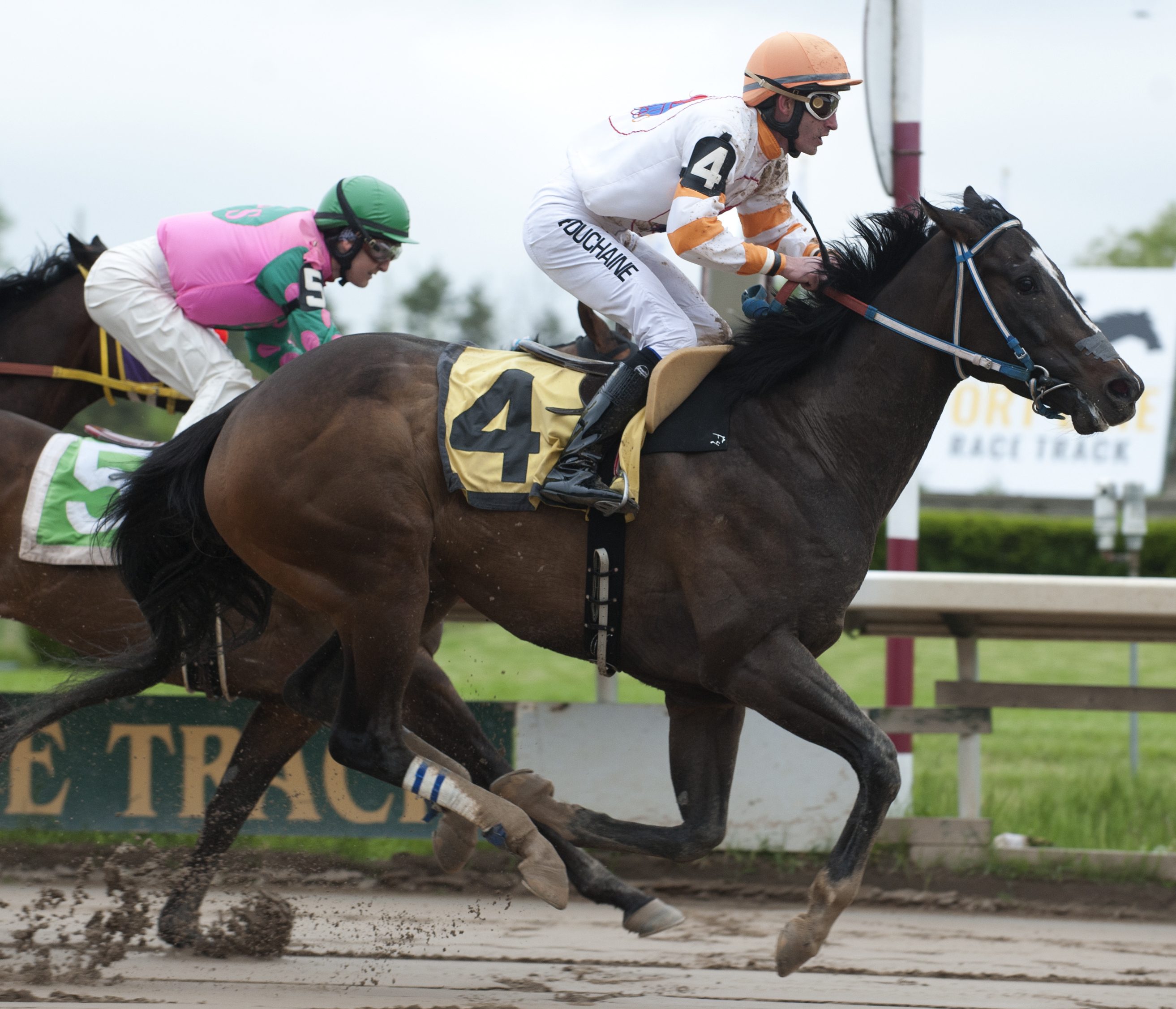 Racing gets out of the gate at Fort Erie
