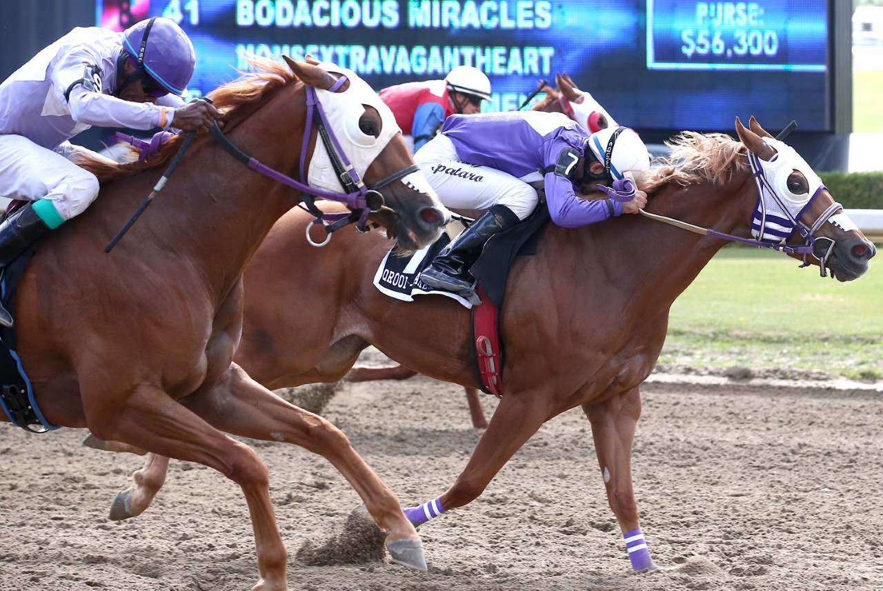 Enniskillen's Chantelle Bourgeois homebreds are 1-2 in Ontario Sires Stakes Derby