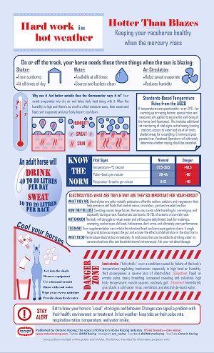 Hot weather care for your horse: Ontario Racing Infographic