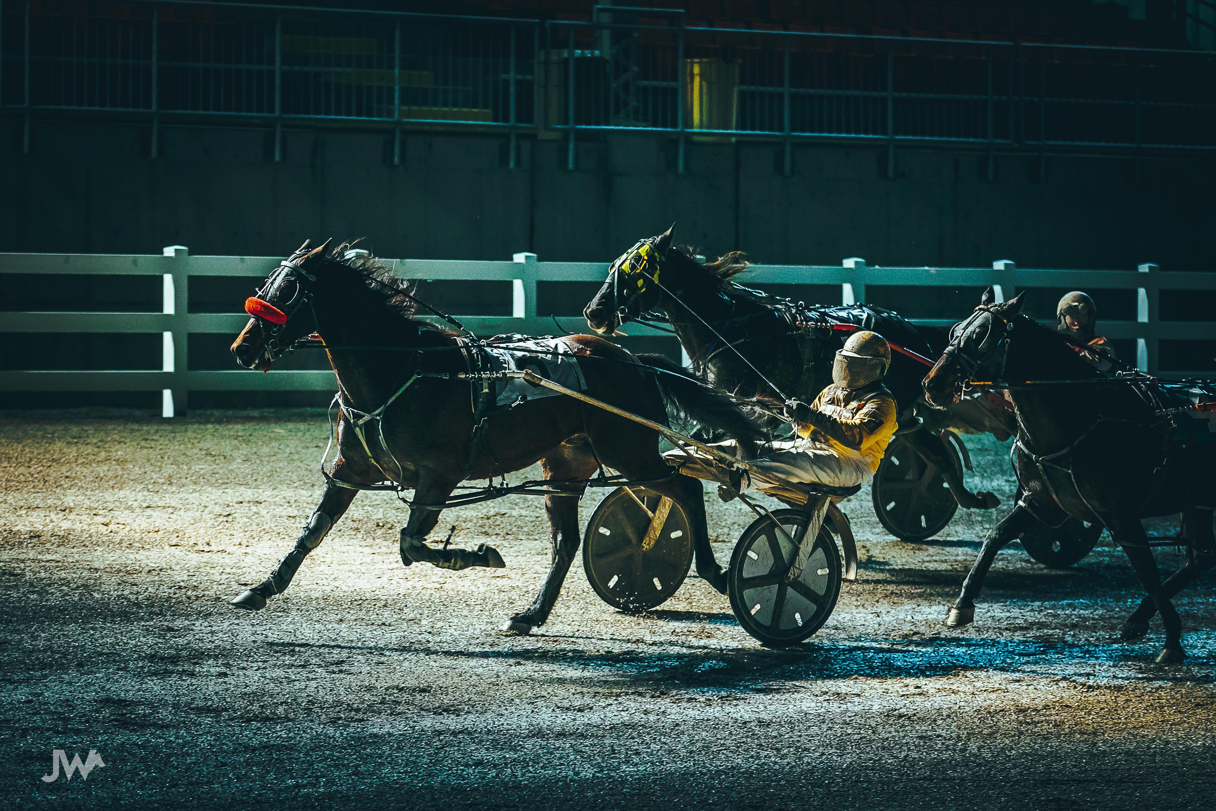 AGCO is temporarily revising Standardbred Rule 15.09 (a)