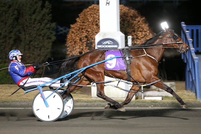 Mohawk Warrior and Wanda Bayama take WEG series finals