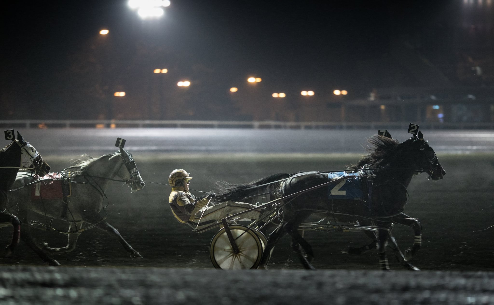 Garnet Barnsdale’s Flamboro Downs Selections: Saturday, February 27, 2021