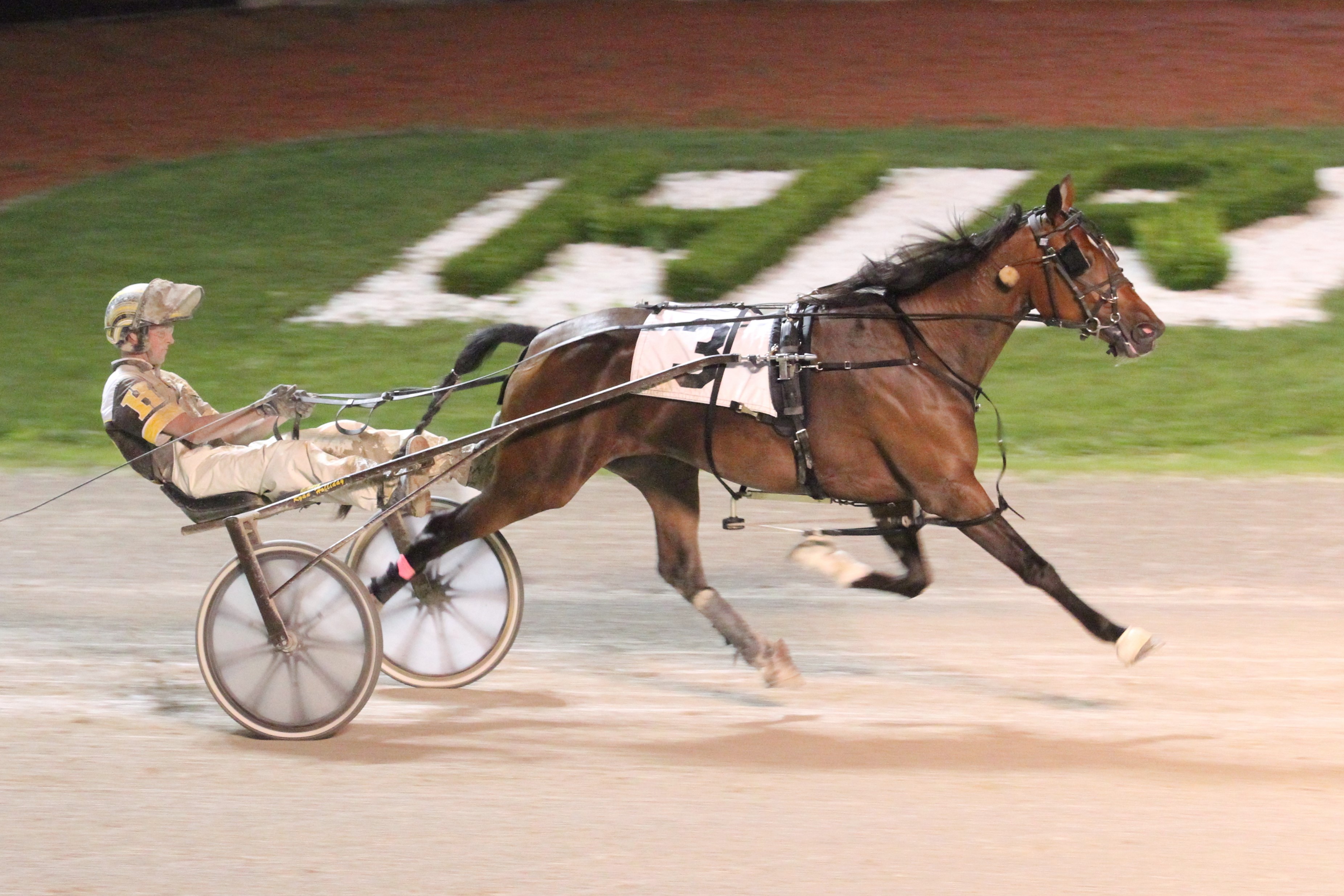 Pair of Grassroots wins part of half-dozen for Holliday