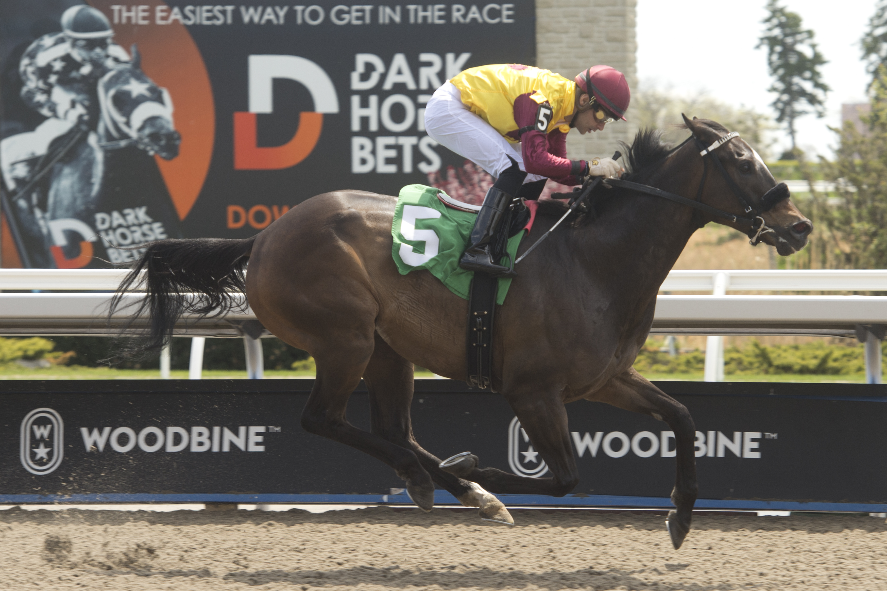 Handicapping Spring Racing in Ontario