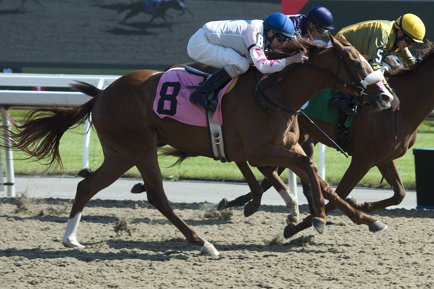 Cool Society steps up to contest Victorian Queen