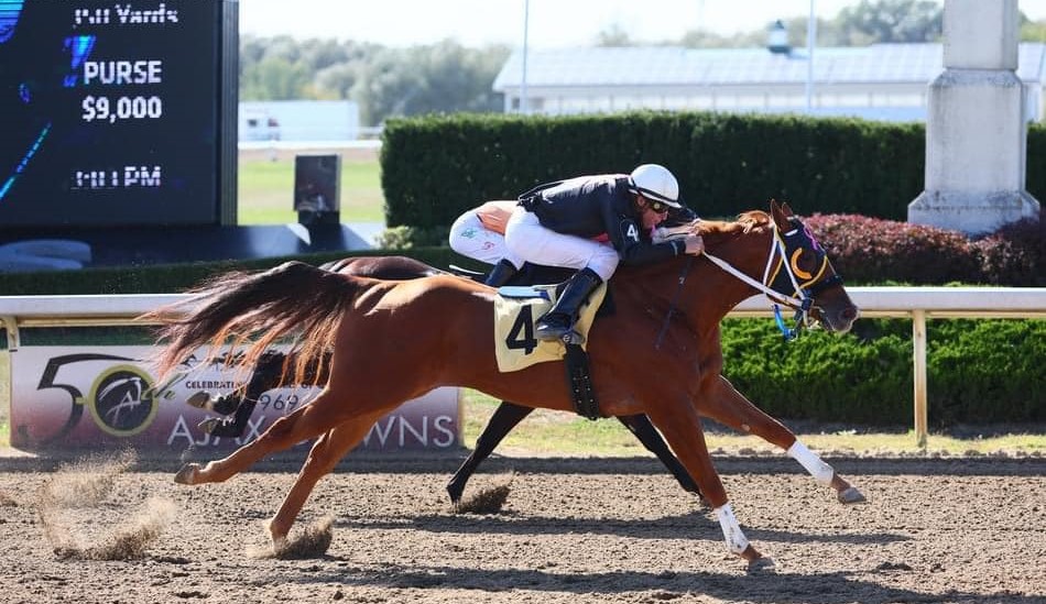 $61,020 Final of the Ontario Sired Stakes Derby and the Jockey Race Continues