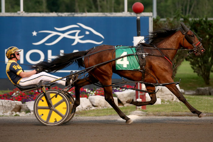 Darling trainees impress in Grassroots filly feature 