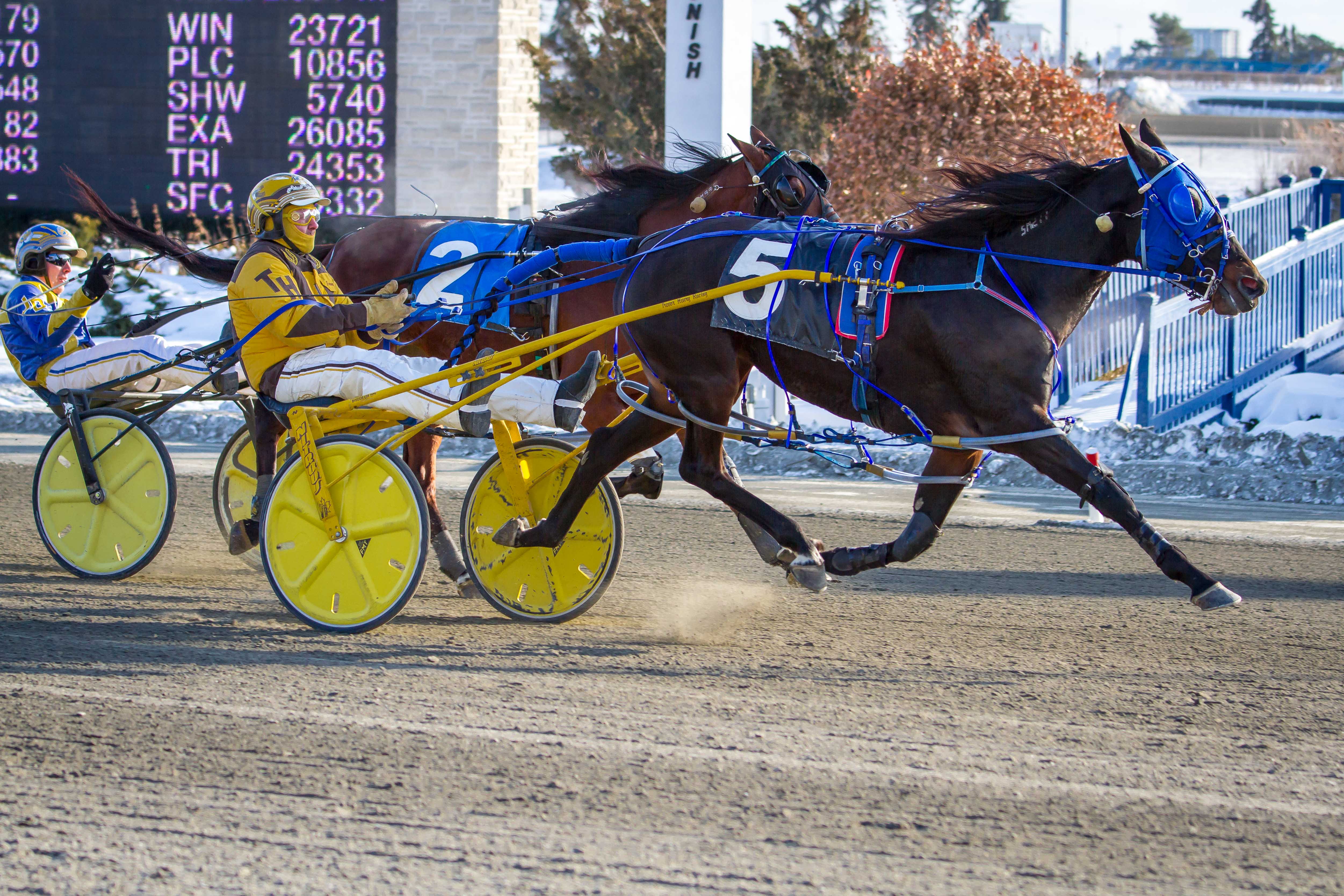 Ontario Racing Trivia Contest: Week 8