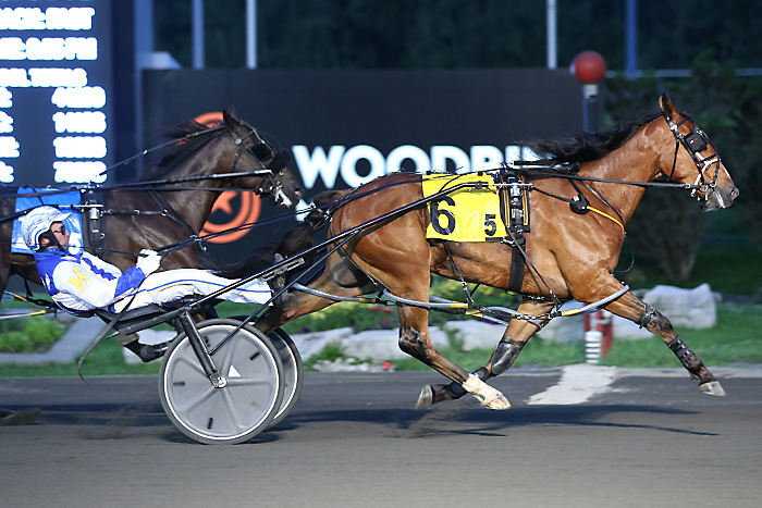 Betterhavemymoney repeats, Stonebridge Helios debuts in Gold