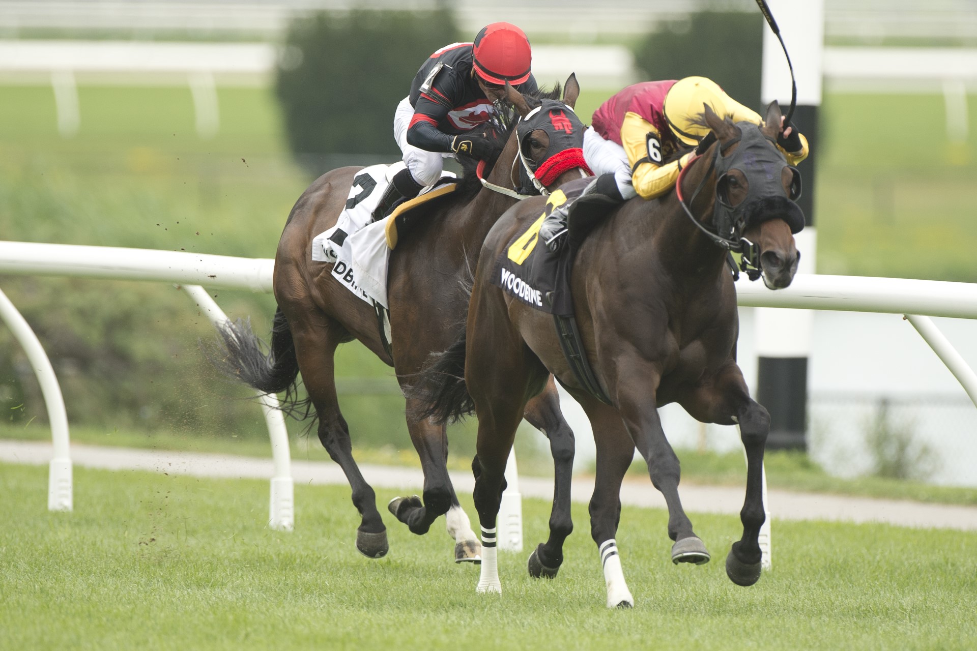 Souper Sunday and jockey Eswan Flores winning the Georgian Bay Stakes on July 8, 2023 at Woodbine (Michael Burns Photo)