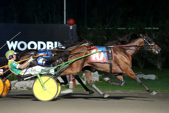 A Crystal Fashion Canadian Trotting Classic statement