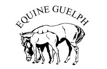 Equine Guelph: Reduce Your Risk of Spring Colic