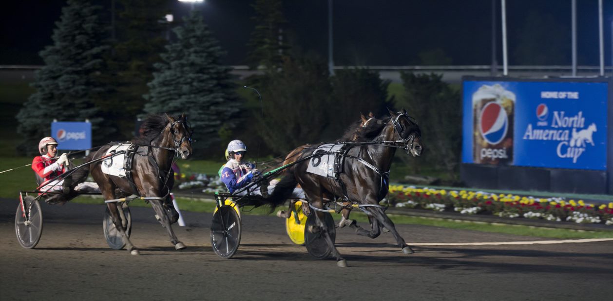 Woodbine unveils schedule for lucrative 2020 stakes program