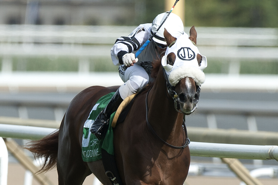 Breeders' Stakes Picks: Alex Campbell