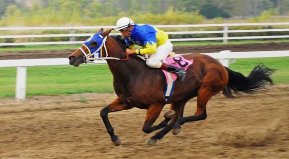 Friday's For the Love of Racing -Into Fast and Carol McIntyre