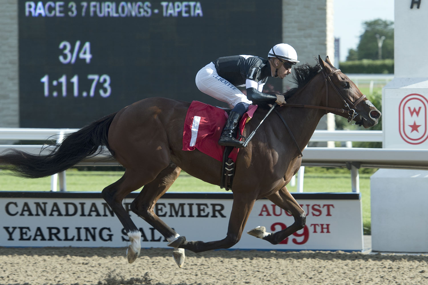 Casse, master of the Mazarine, sends out trio in Saturday stake
