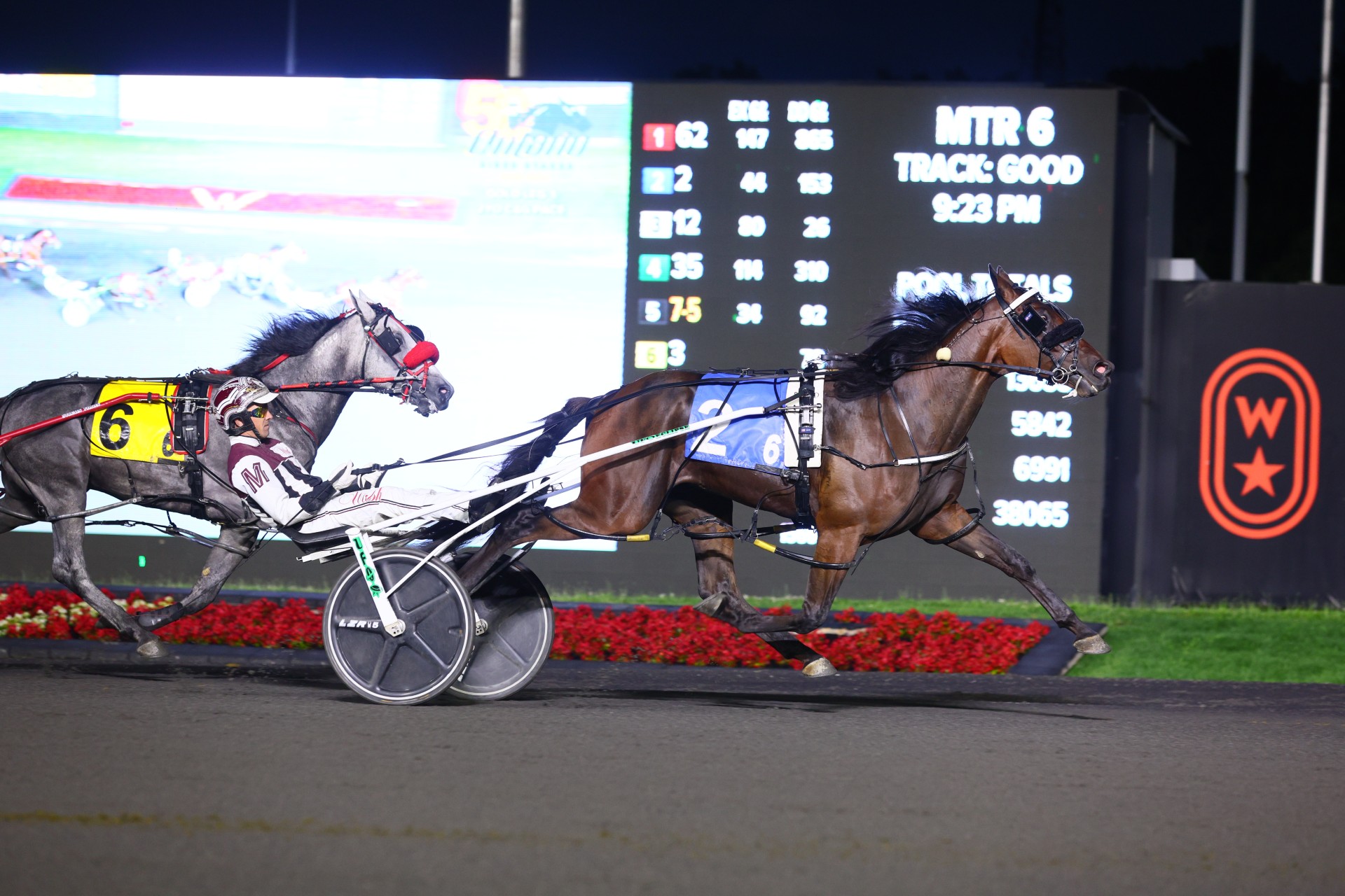 Stonebridge Wizard competing at at Woodbine Mohawk Park on July 5, 2024 (Clive Cohen/New Image Media)