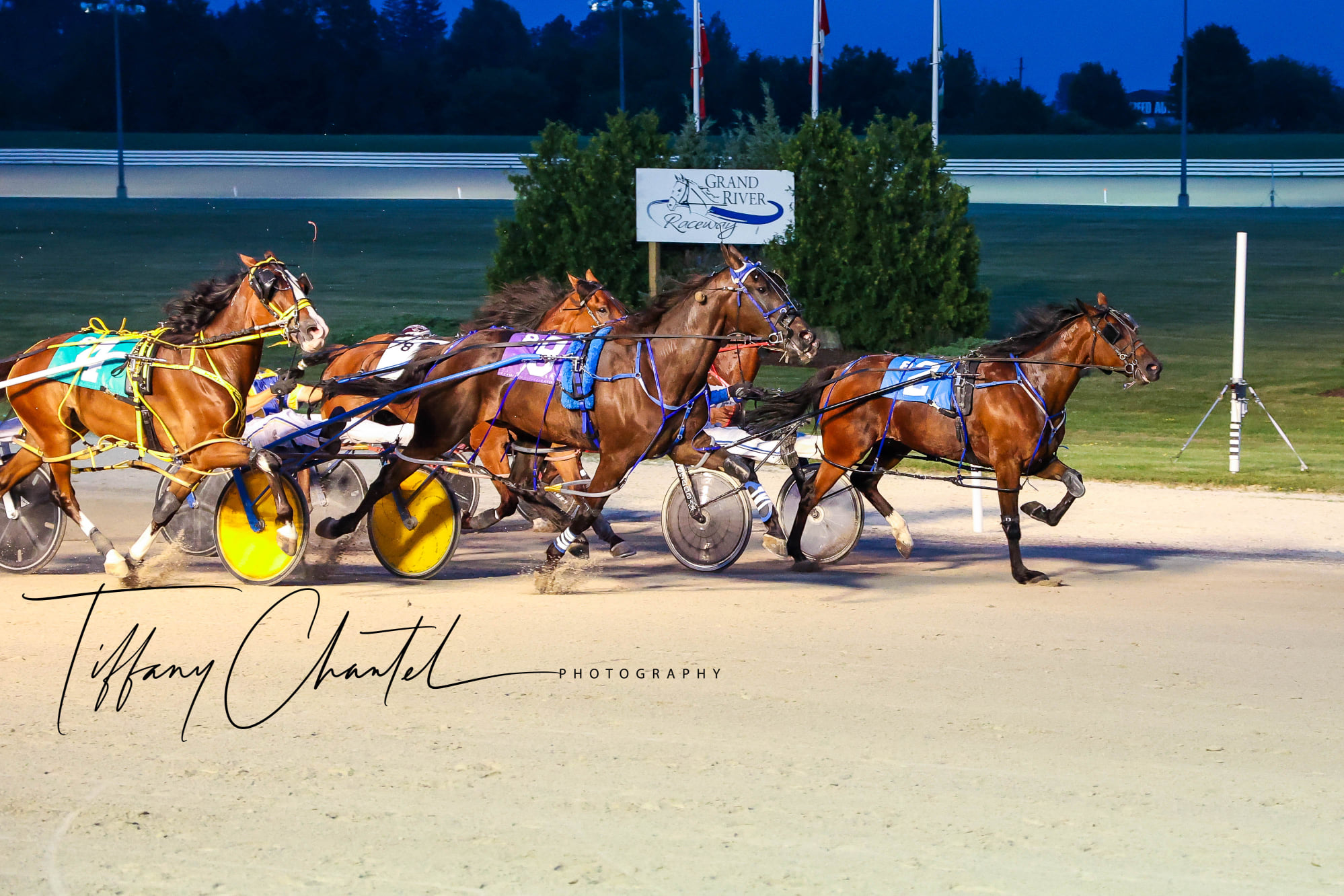 Michael Carter’s Grand River Raceway Selections: Wednesday, July 21, 2021