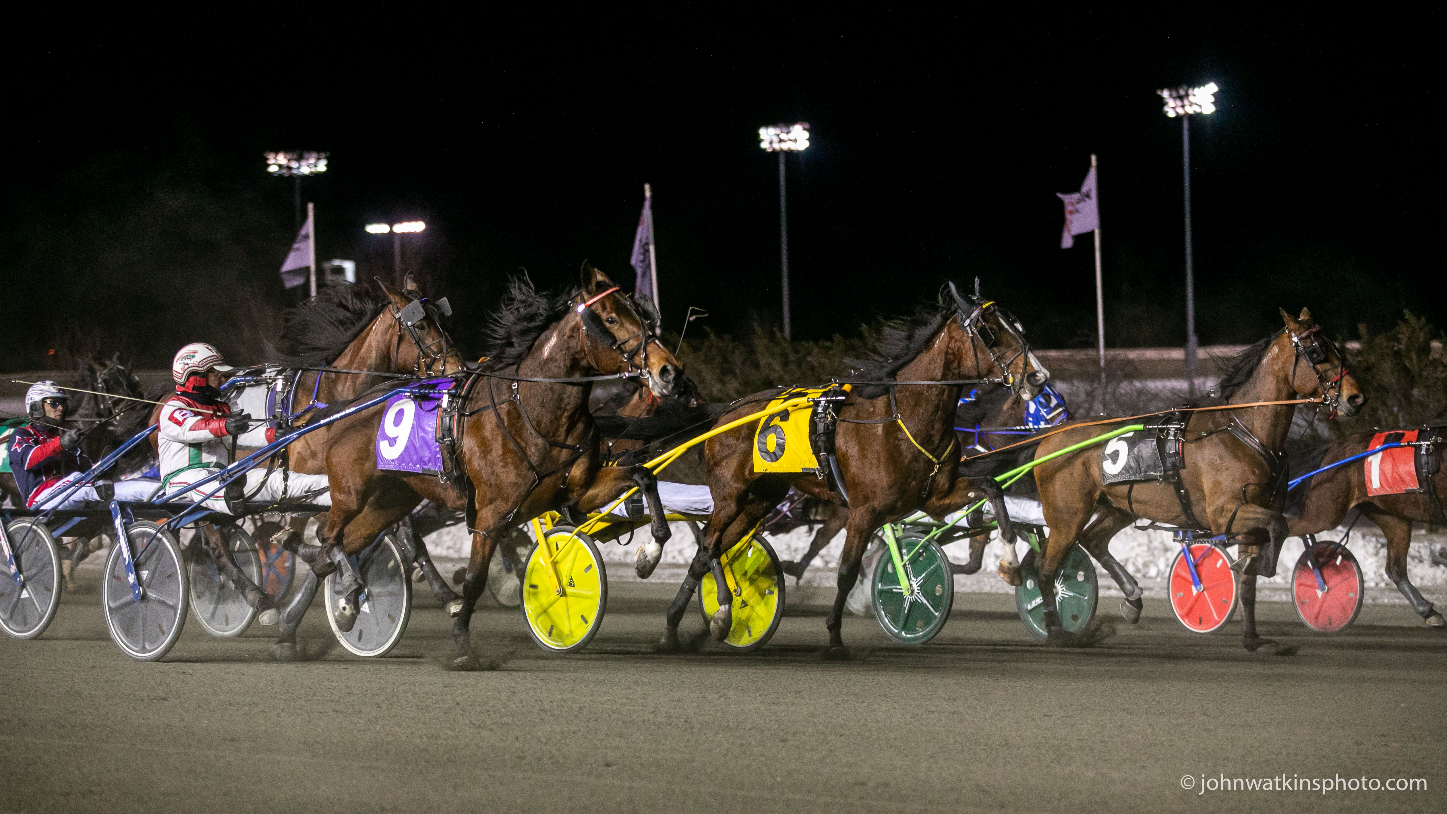 Live horse racing continues in Ontario; plenty of options available for watching and wagering on races 