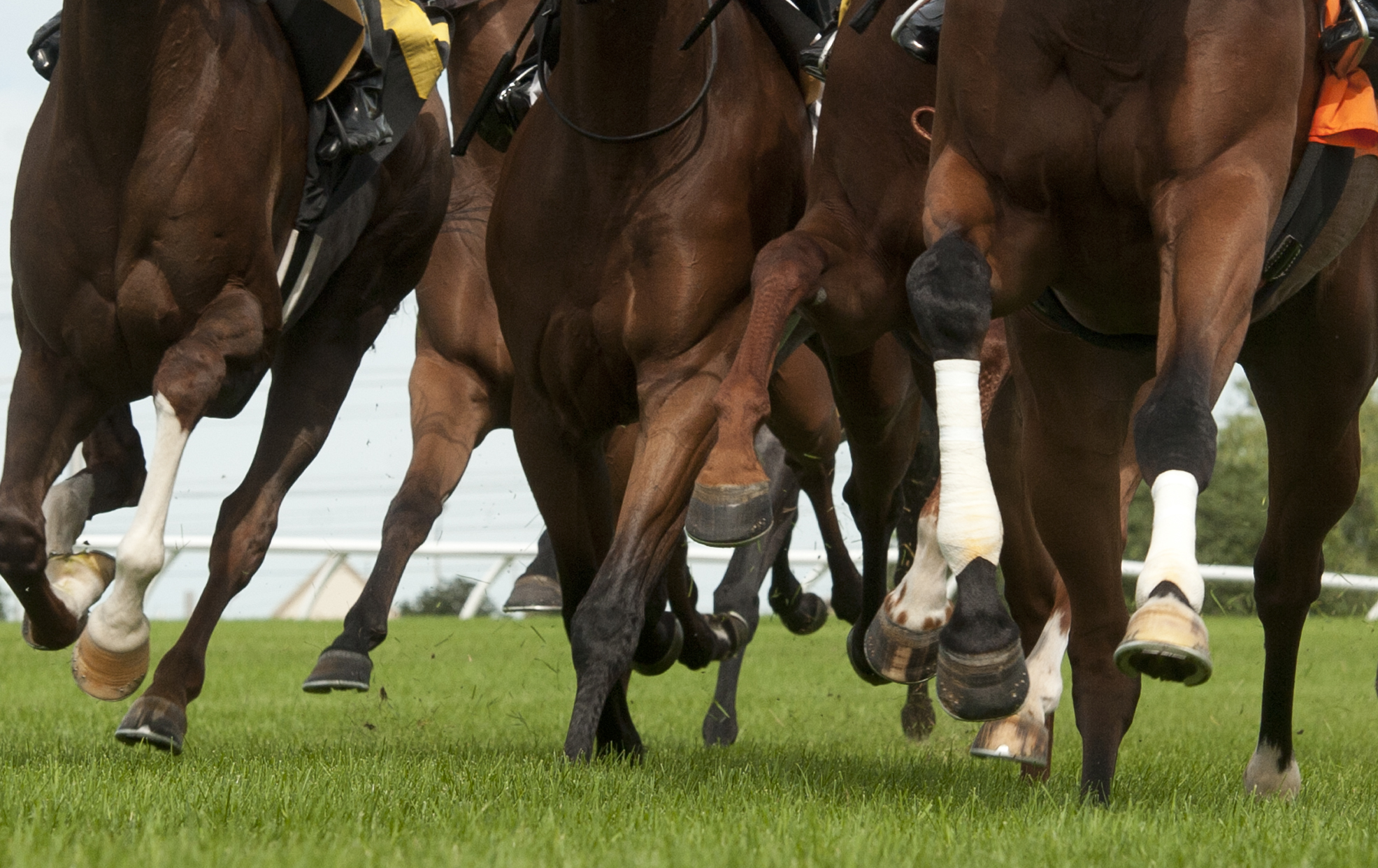 Pattison Canadian International Notes for Saturday, October 6, 2018