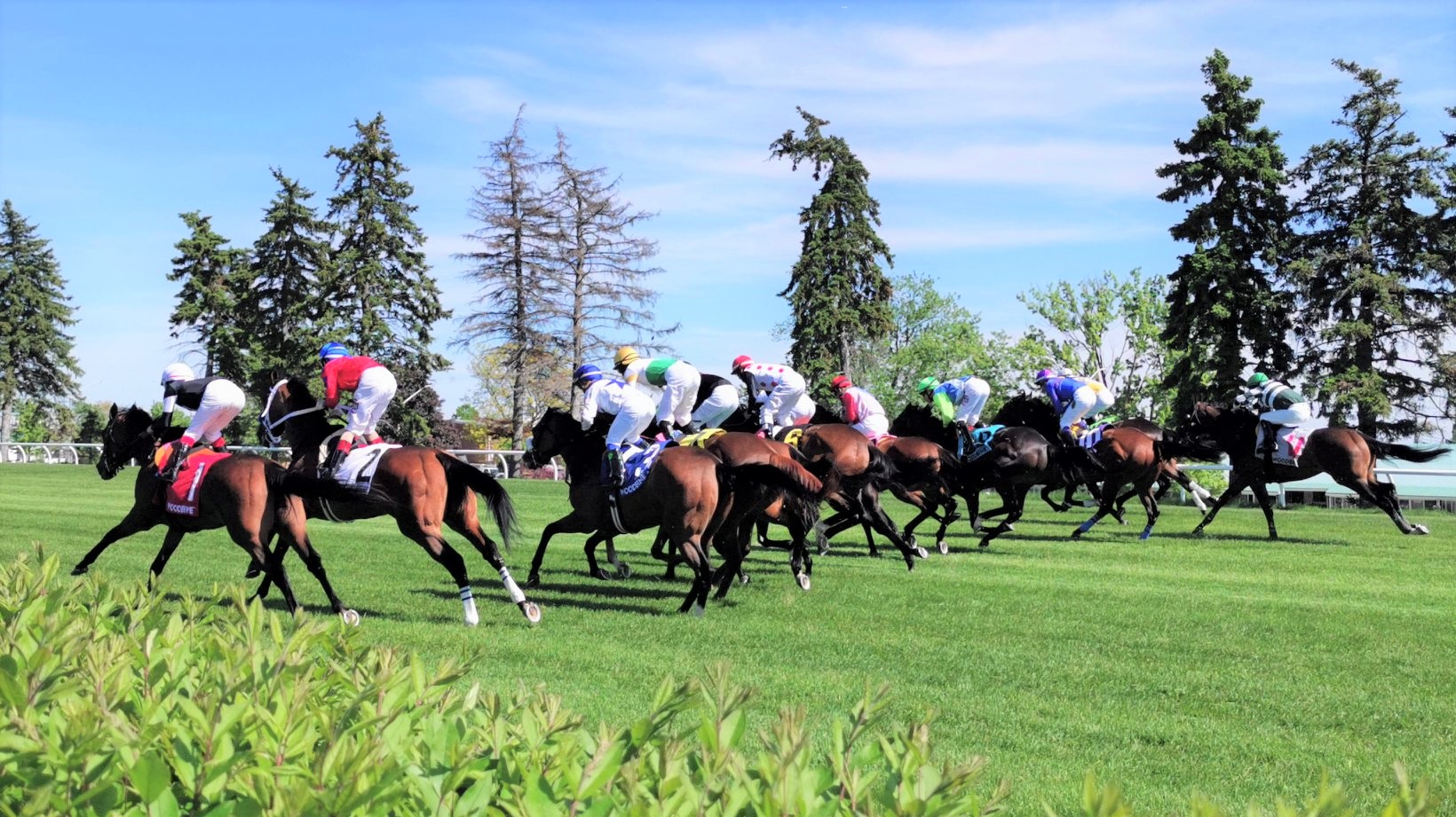 Woodbine's Beautiful Green Scene