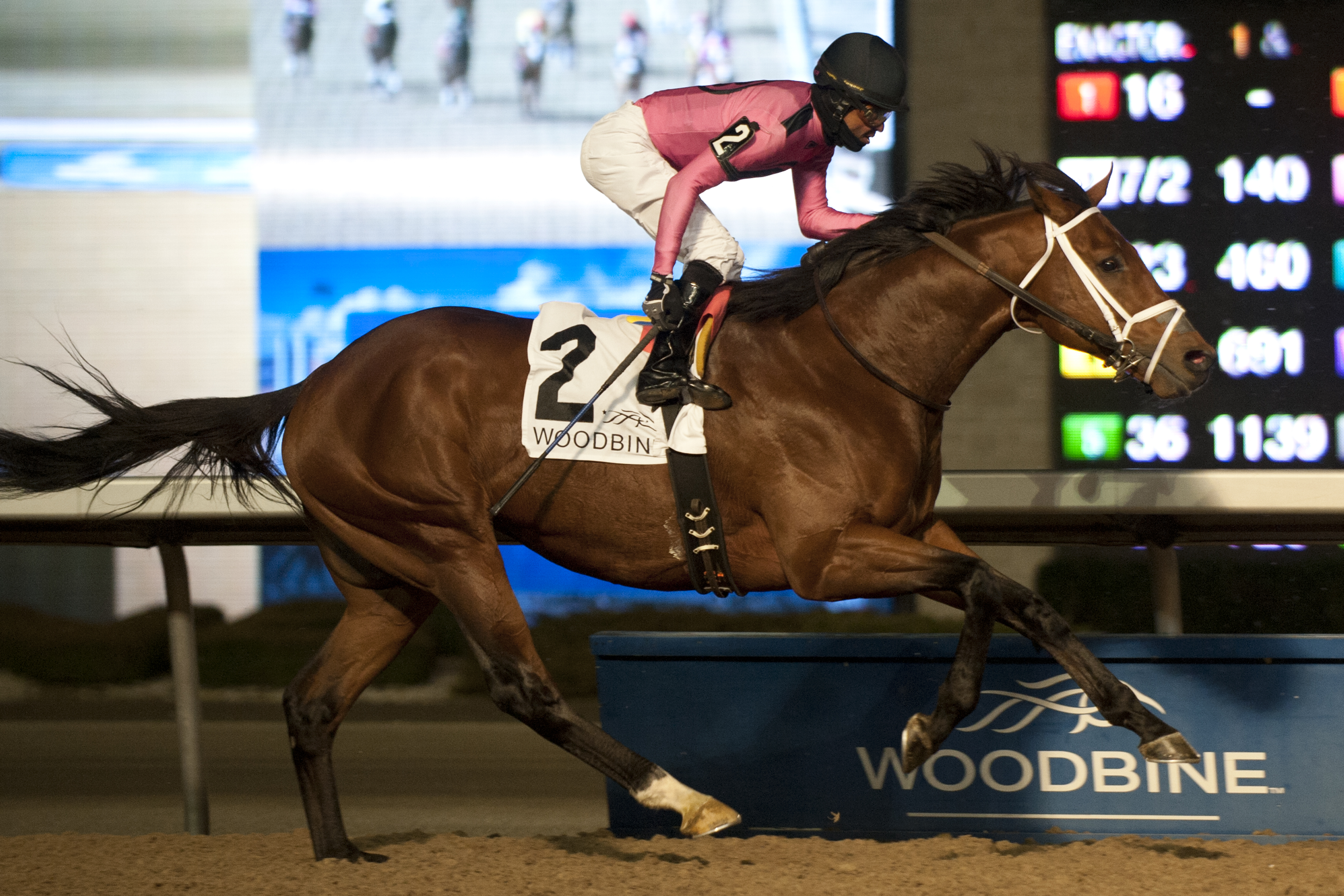 Woodbine’s 2017 Thoroughbred meet concludes