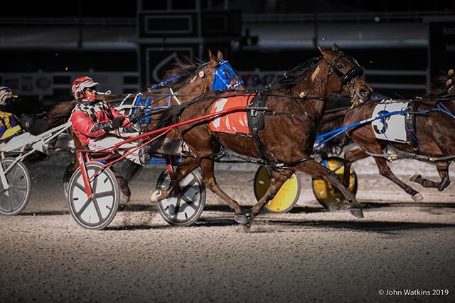 Garnet Barnsdale’s Flamboro Downs Selections: Saturday, March 20, 2021
