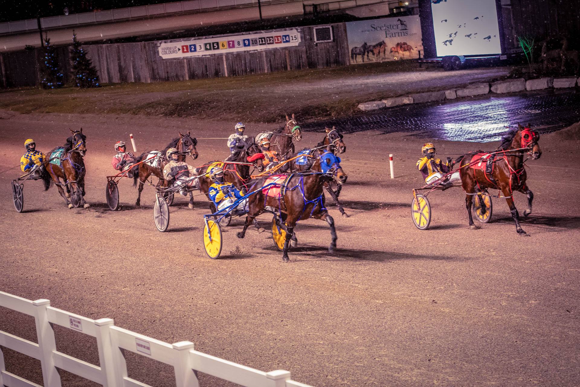 Garnet Barnsdale’s Western Fair Raceway Selections: Monday, November 18, 2019