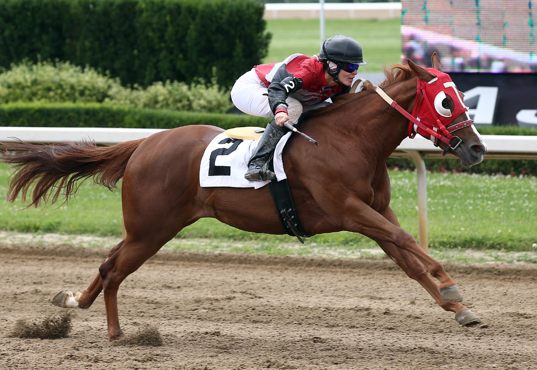 Fast Fillies fly in Futurity Trials