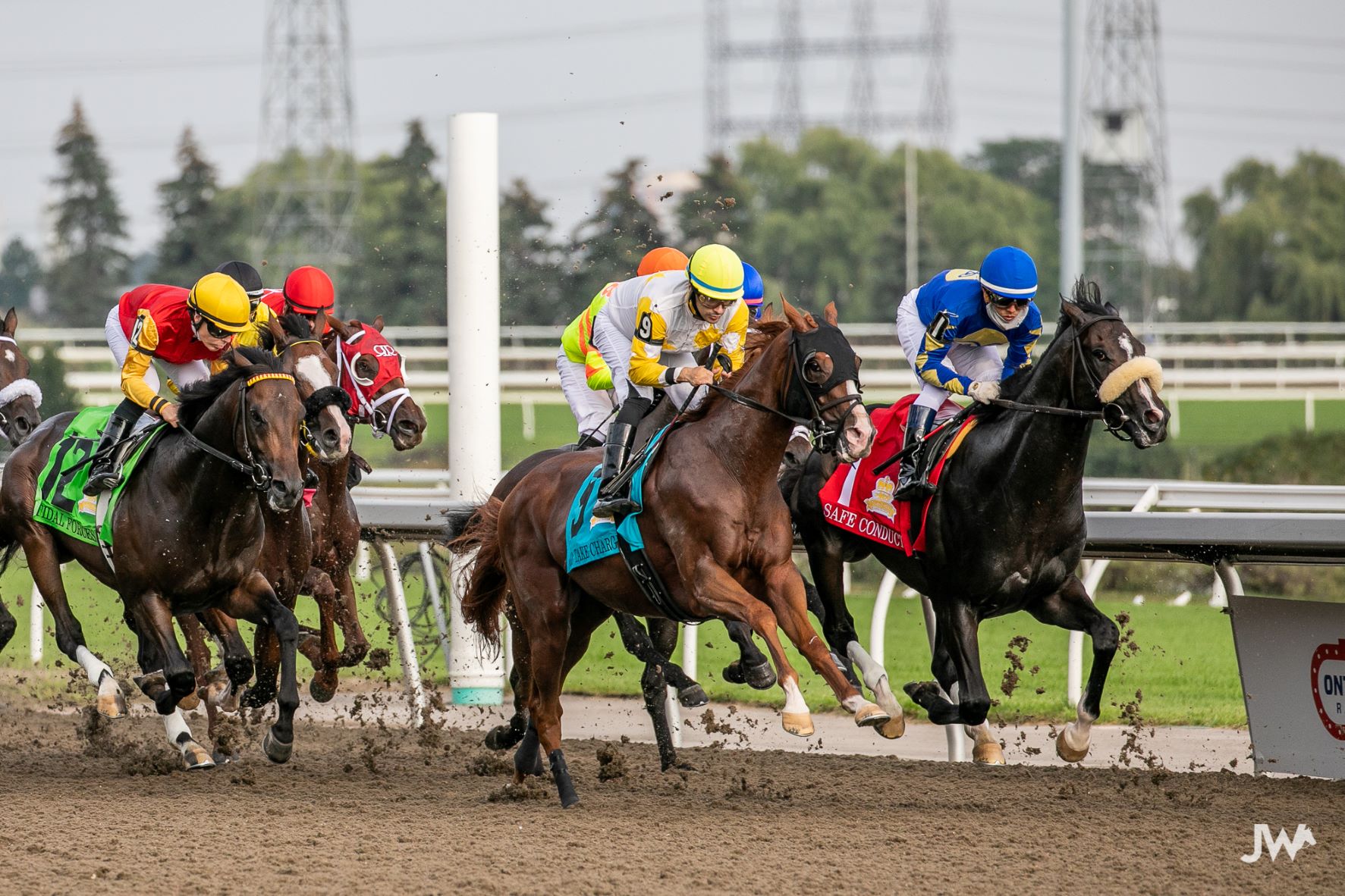 Jennifer Morrison’s Woodbine Thoroughbred Selections: Sunday, November 21, 2021
