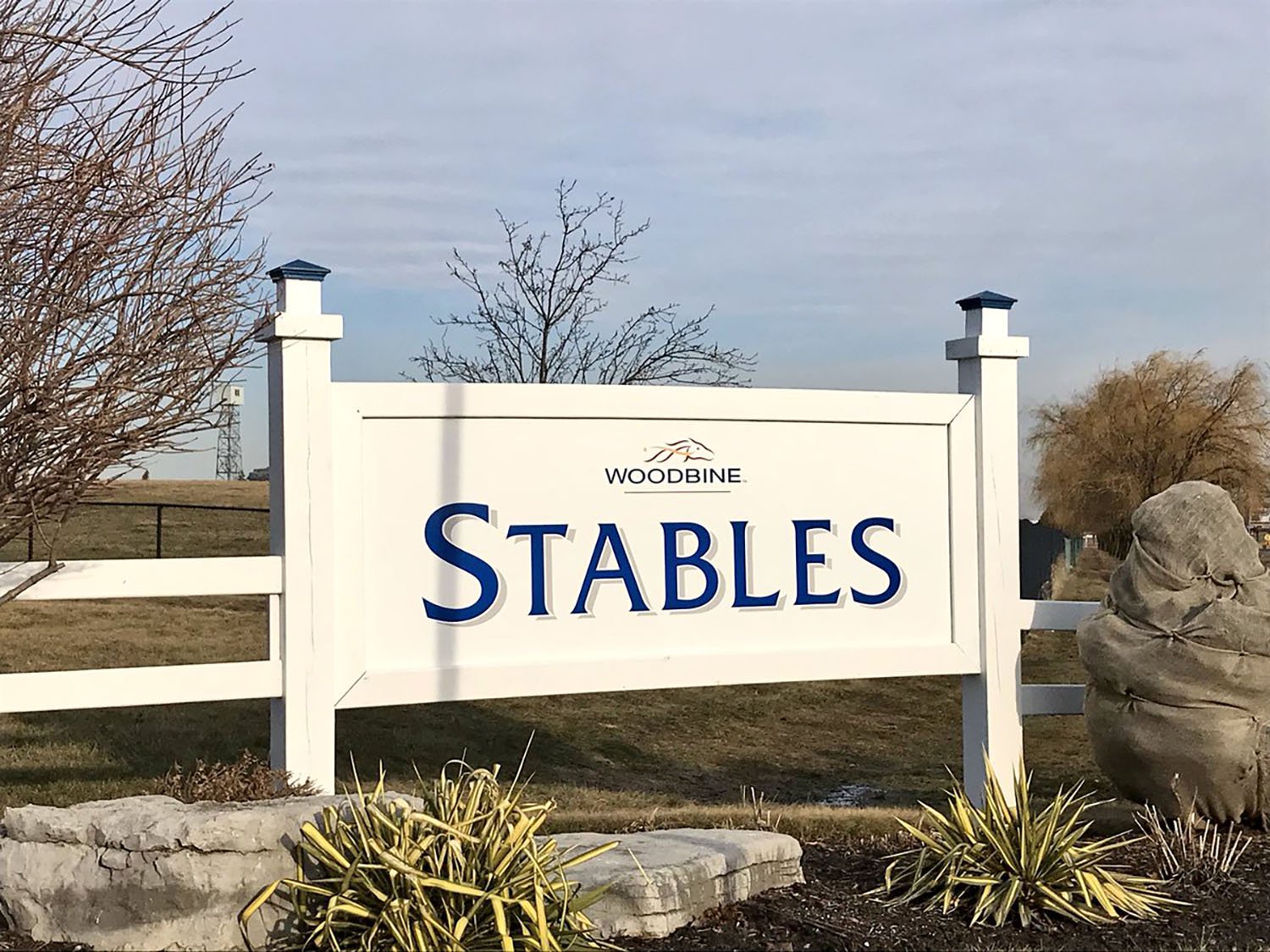 VIDEO: Woodbine backstretch opens for 2019 Thoroughbred racing season