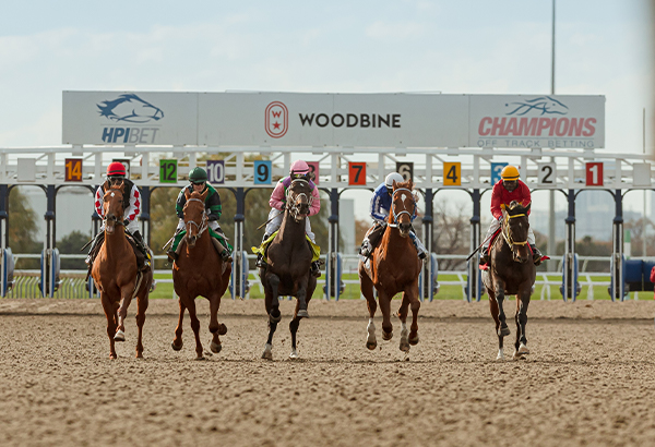 The Breeders Stakes