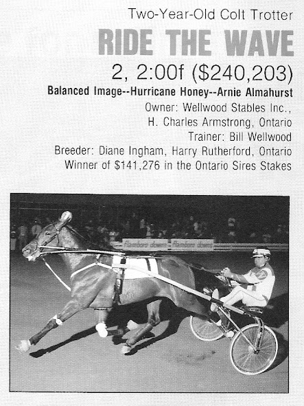 In 1988, the two-year-old trotting colt Ride The Wave went undefeated in stakes action