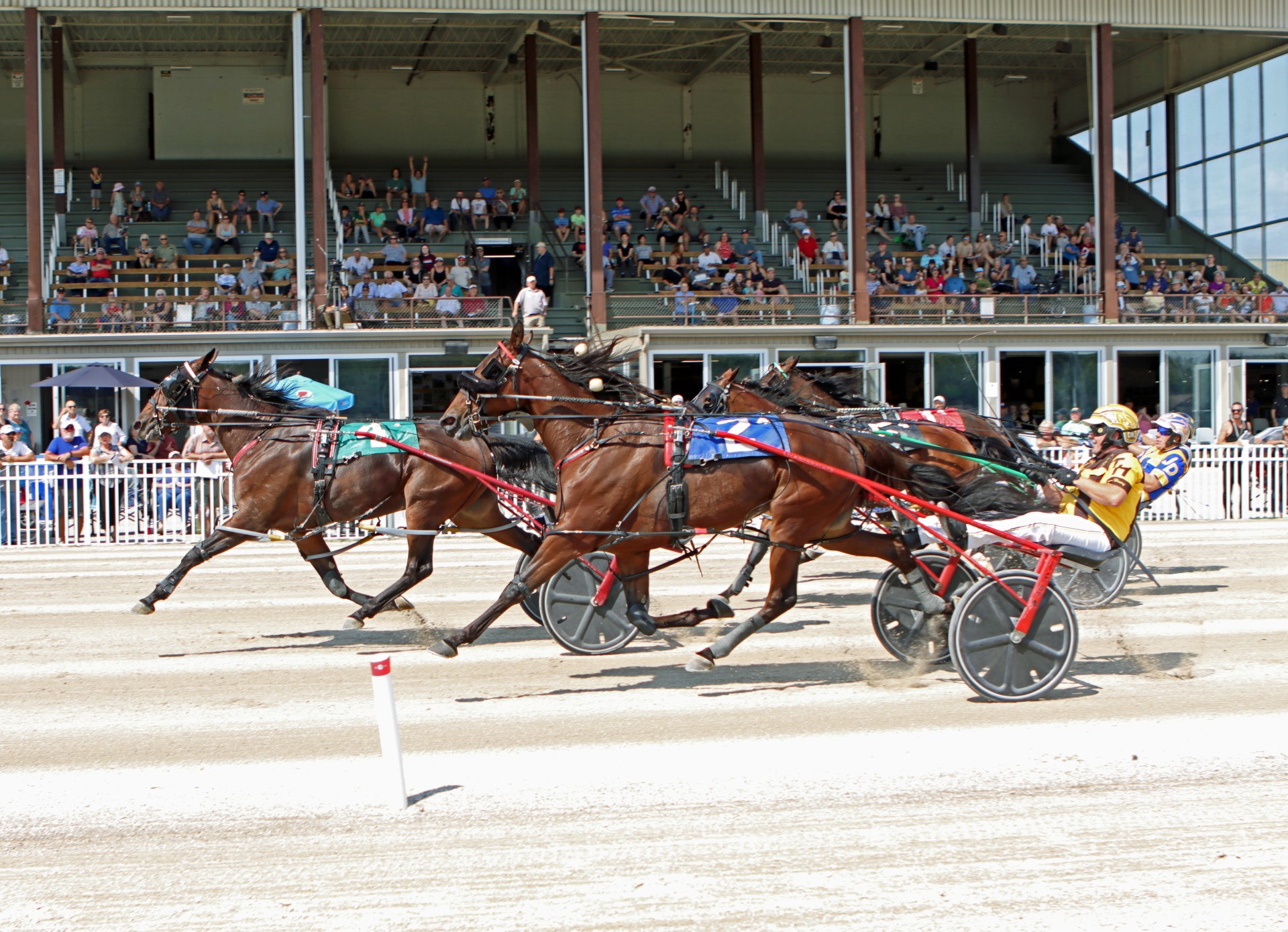 Collusion Hanover winning an OSS Grassroots Series race on Aug. 24 at Hanover Raceway (Lori Martin)