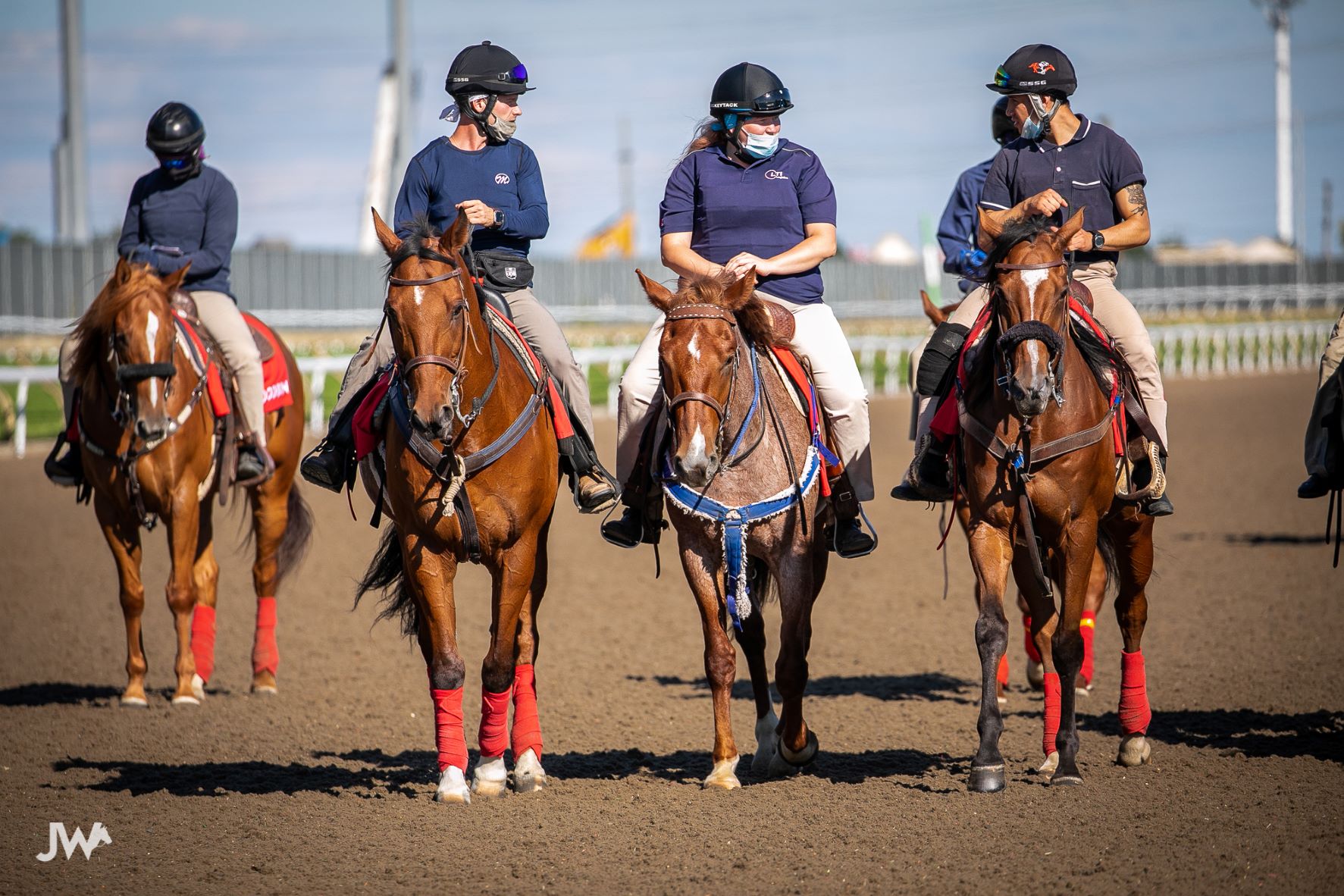 Jennifer Morrison’s Woodbine Thoroughbred Selections: Friday, November 26, 2021