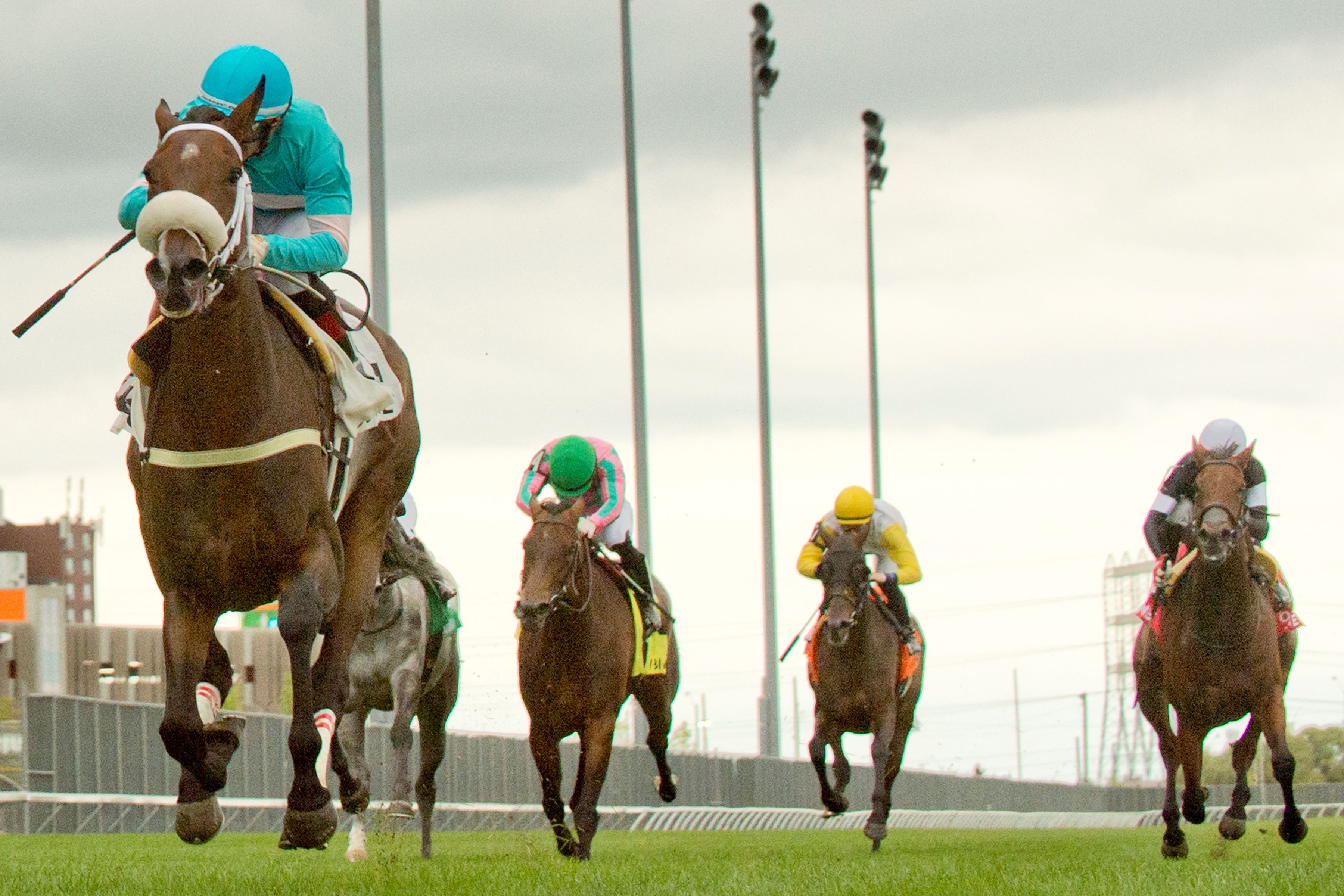 Moira and jockey Rafael Hernandez winning the Canadian Stakes on September 9, 2023 at Woodbine (Michael Burns Photo).