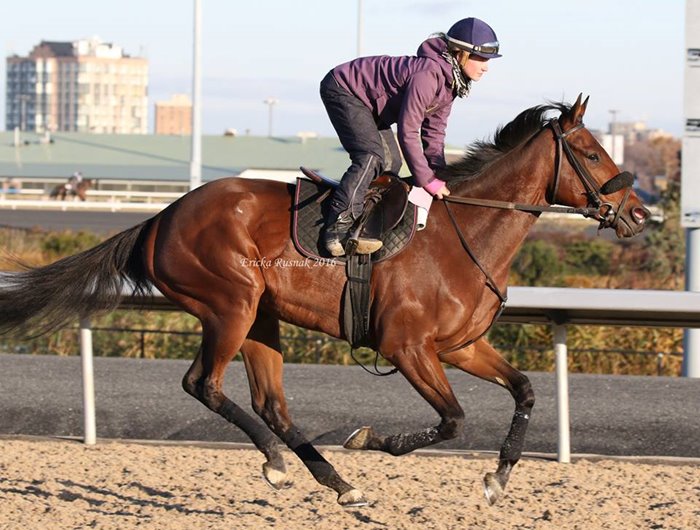 Ontario Racing Announces 2017 Thoroughbred Improvement Program